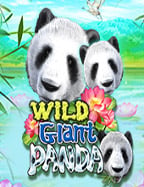 ฝาก 20 รับ 100 วอ เลท 2020168galaxy joker: แจกสูตรเกมสุดมันส์